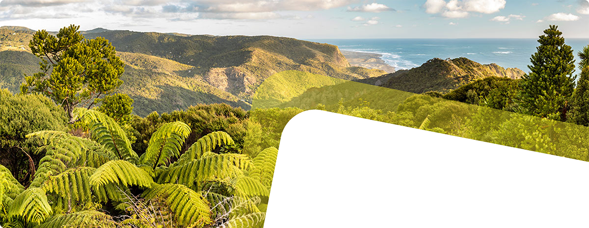 West Auckland rental properties available now